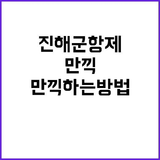 진해군항제를 만끽하…