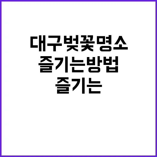 대구 벚꽃 명소를 …