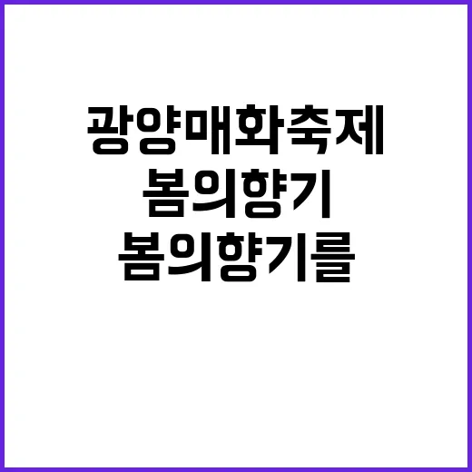 광양 매화축제를 즐기는 방법: 봄의 향기를 만끽하려면 이렇게