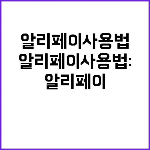 초보자를 위한 알리페이 사용법: 쉽고 간편하게 시작하는 방법