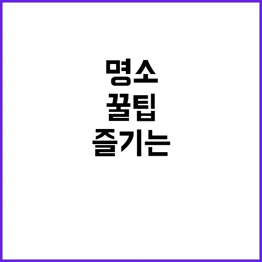 대련을 완벽히 즐기는 방법: 놓치지 말아야 할 명소와 꿀팁
