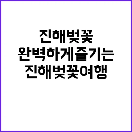 진해 벚꽃 여행을 …