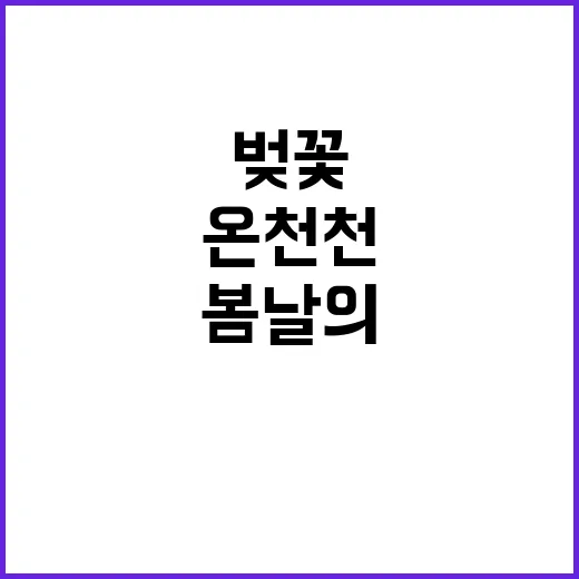 온천천 벚꽃을 만끽…