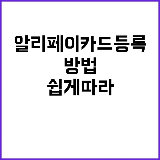 알리페이 카드등록하…