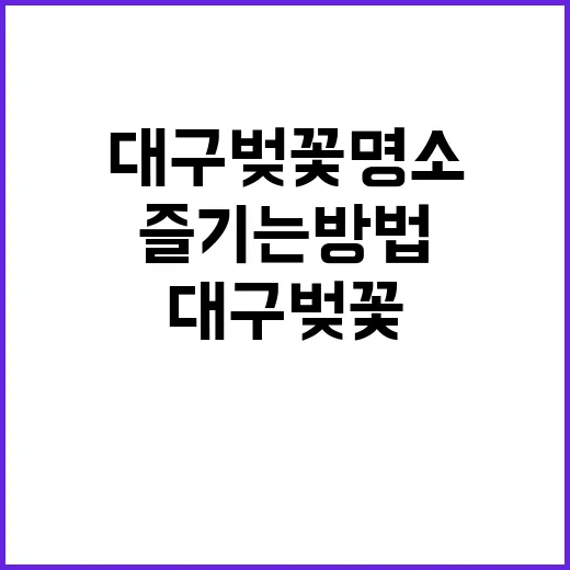 대구 벚꽃 명소를 …