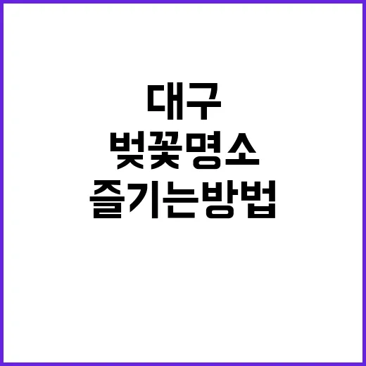대구에서 벚꽃 명소…