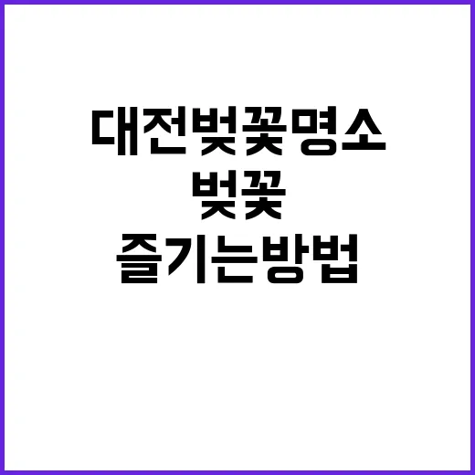 대전 벚꽃 명소를 즐기는 방법: 최고의 장소와 팁