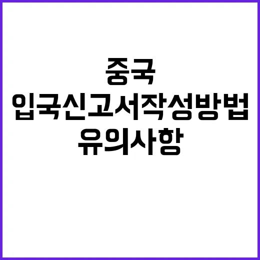중국 입국신고서 작성 방법과 유의사항