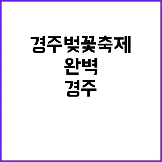 경주 벚꽃 축제를 완벽하게 즐기는 방법