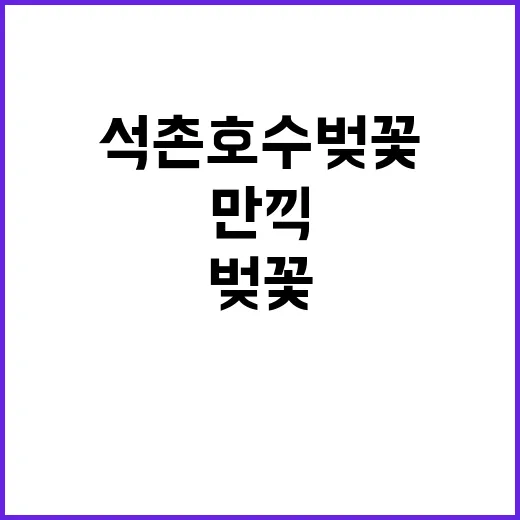 석촌호수 벚꽃을 만…
