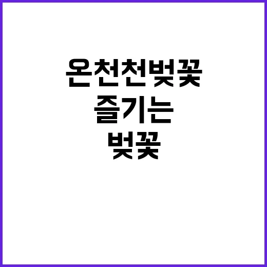 온천천 벚꽃을 즐기…