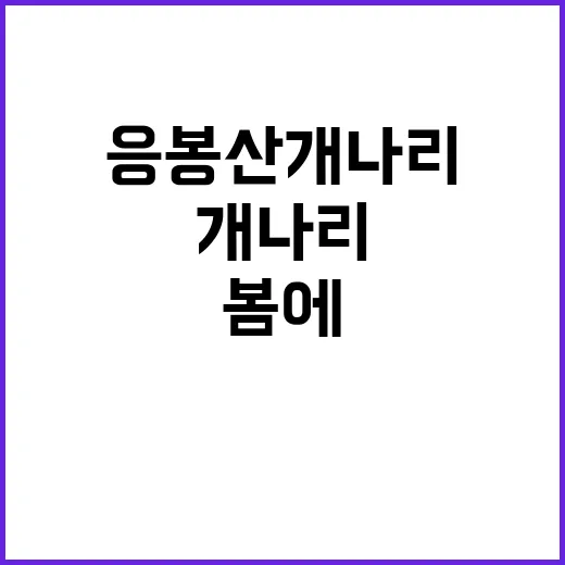봄에 찾아갈 만한 …