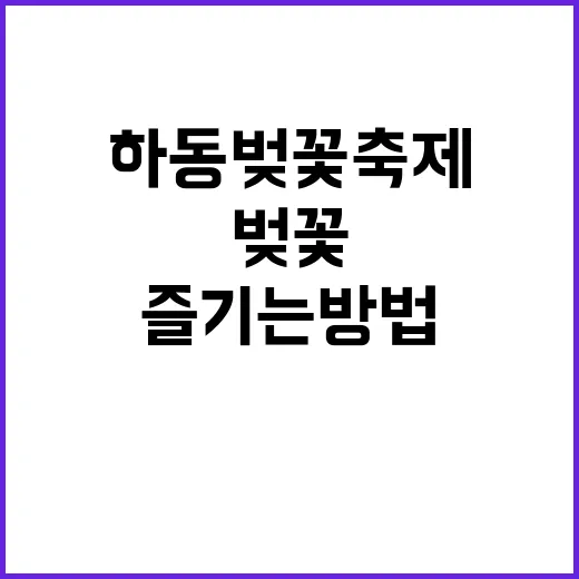 하동 벚꽃축제를 완벽하게 즐기는 방법