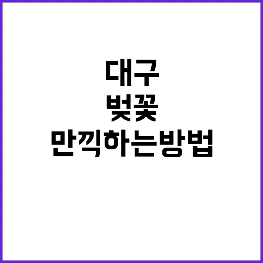 대구에서 벚꽃을 만끽하는 방법