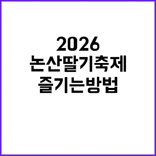 논산 딸기축제 2026을 즐기는 방법