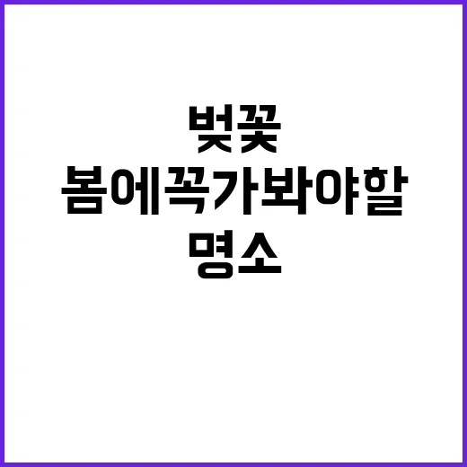 봄에 꼭 가봐야 할…