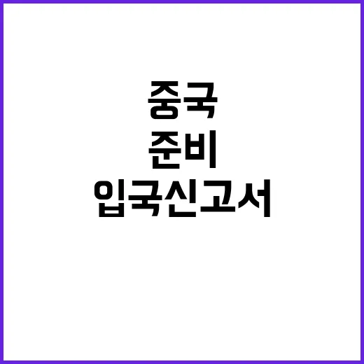 중국 입국신고서 작…