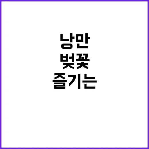 온천천 벚꽃을 즐기는 방법: 봄의 낭만을 만끽하려면 이렇게