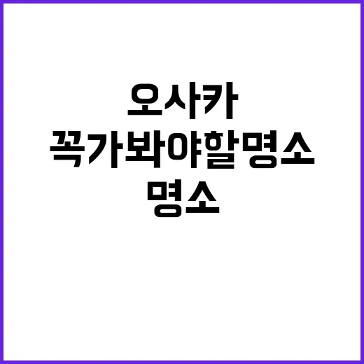 오사카에서 꼭 가봐…