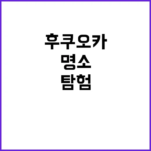 후쿠오카에서 꼭 방…