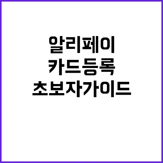 알리페이에 카드 등록하는 방법: 초보자 가이드