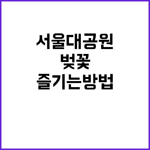 서울대공원에서 벚꽃을 즐기는 방법