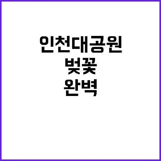 인천대공원에서 벚꽃…