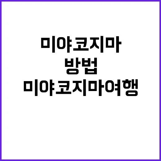 미야코지마 여행을 완벽히 즐기는 방법