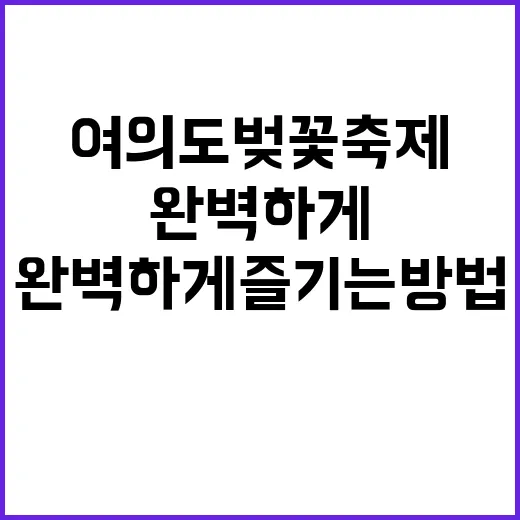 여의도 벚꽃축제를 …