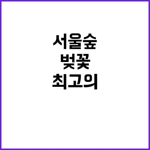 서울숲에서 벚꽃을 …