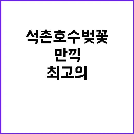 석촌호수 벚꽃을 만…