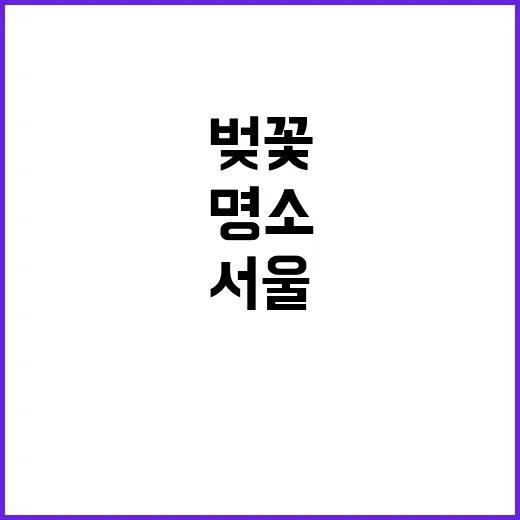 서울에서 벚꽃을 즐…