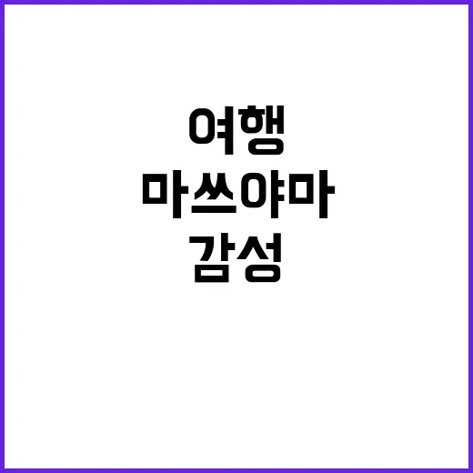 마쓰야마 여행을 즐…