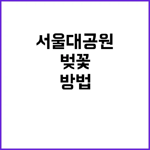서울대공원에서 벚꽃…