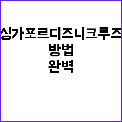 싱가포르 디즈니 크…