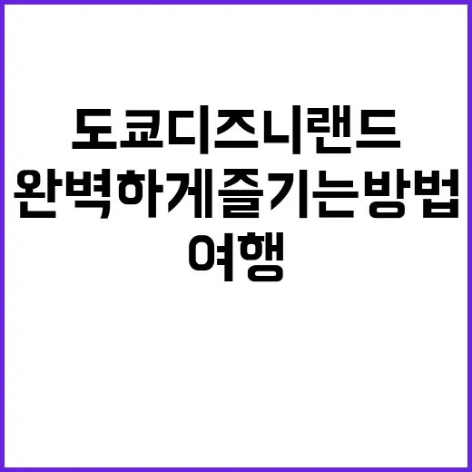 도쿄 디즈니랜드 여행을 완벽하게 즐기는 방법