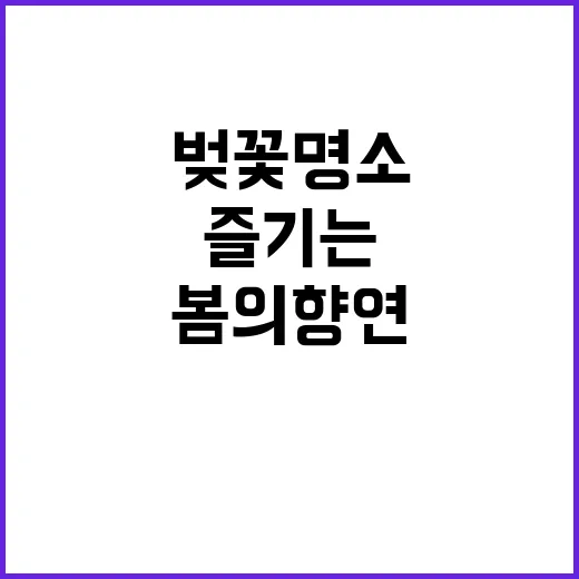 벚꽃 명소를 즐기는…