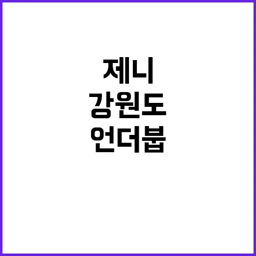 제니처럼 강원도에서…