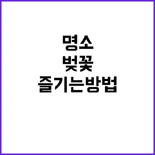 서울 벚꽃 명소를 …