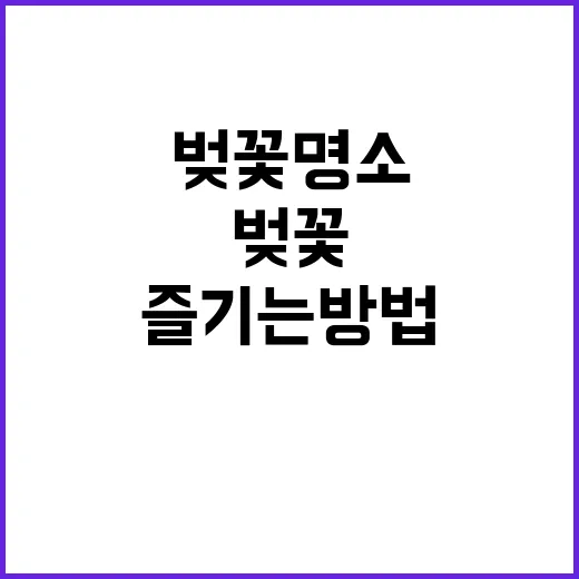 벚꽃 명소를 완벽히…
