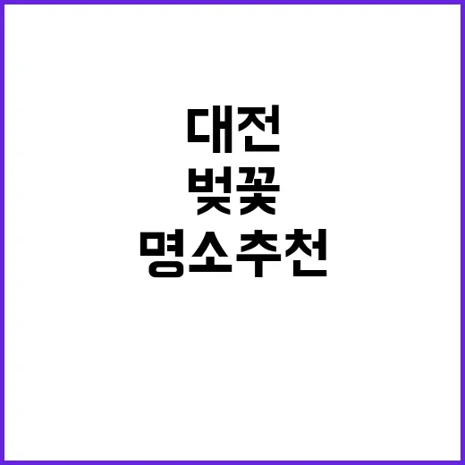 대전에서 벚꽃을 즐…