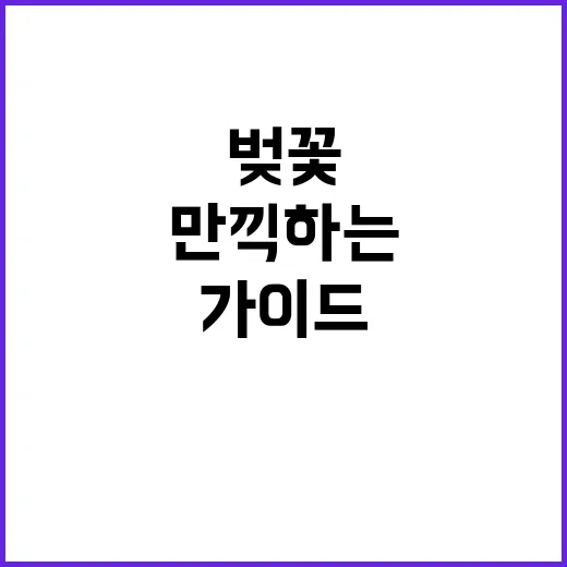 부산에서 벚꽃을 만…