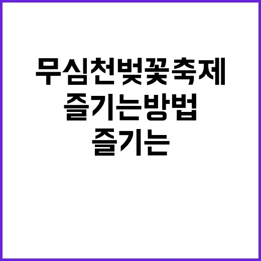 무심천 벚꽃축제를 …