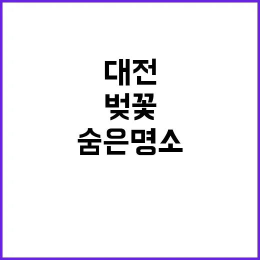 대전에서 벚꽃을 만끽하는 방법: 숨은 명소와 즐길 거리