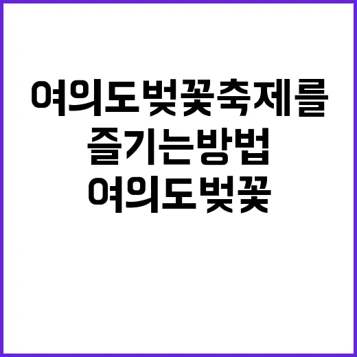 여의도 벚꽃축제를 …