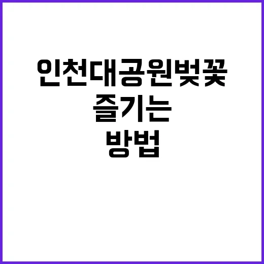 인천대공원 벚꽃 즐…
