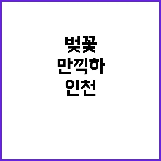 인천에서 벚꽃을 만끽하는 방법