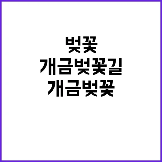 개금 벚꽃길을 만끽하는 방법