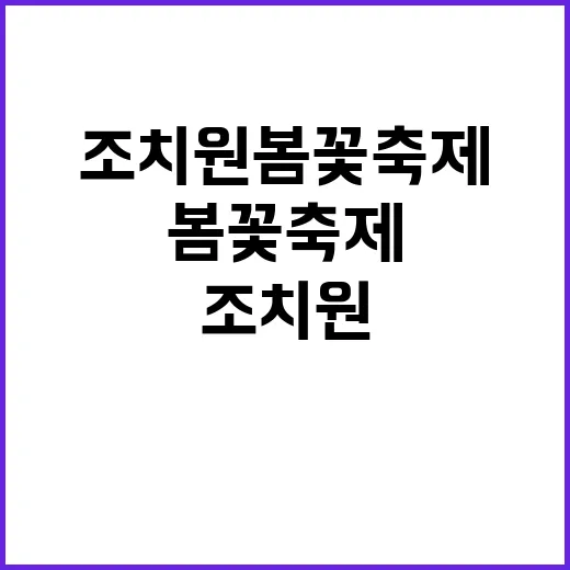 조치원 봄꽃축제를 …