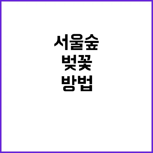 서울숲에서 벚꽃을 …